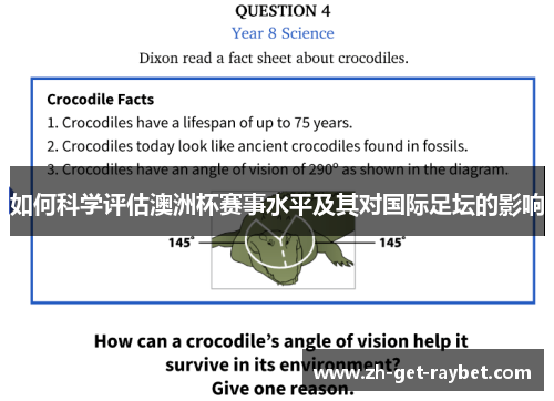 如何科学评估澳洲杯赛事水平及其对国际足坛的影响