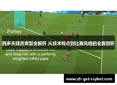 西多夫球员类型全解析 从技术特点到比赛风格的全面剖析